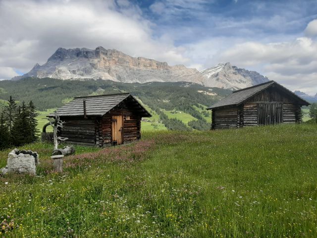 Immagini: Farm Chalet Jusciara