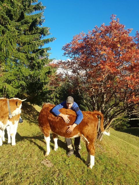 Immagini: Farm Chalet Jusciara