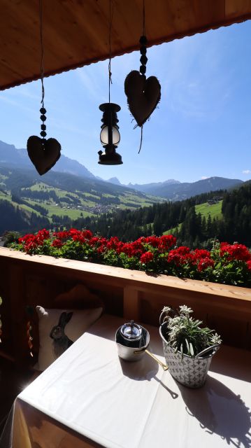 Immagini: Farm Chalet Jusciara