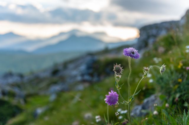 Immagine: Alta Badia