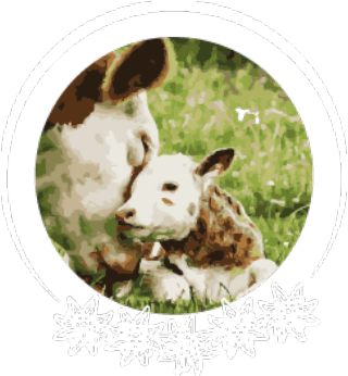 Farm Chalet Jusciara